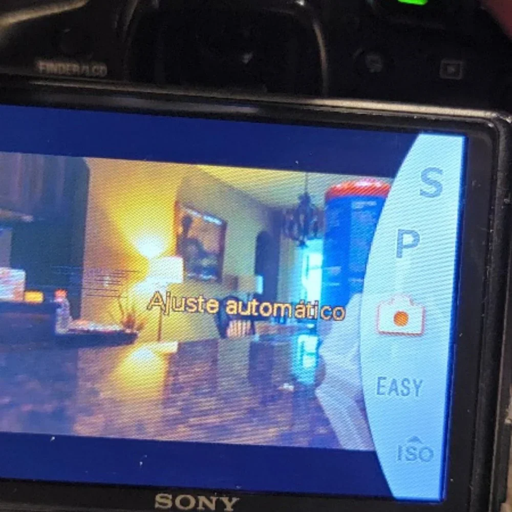 Sony Cyber-shot DSCH50 9.1 MP Digital Camera with Optical Zoom Super steady Shot